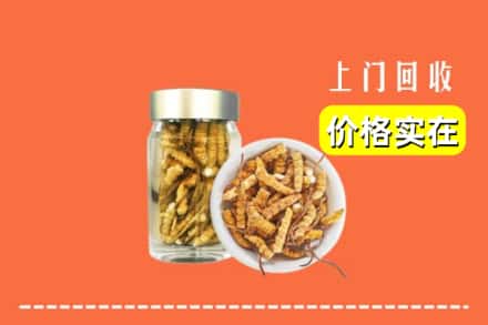 收购资讯:惠州市惠城回收散虫草