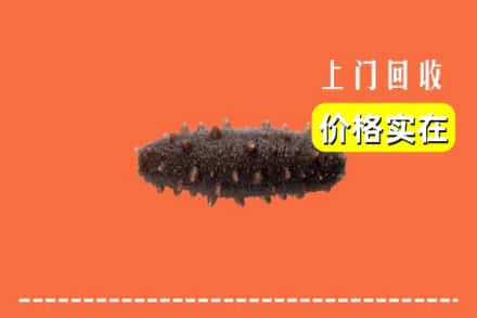 收购资讯:惠州市惠城回收海参